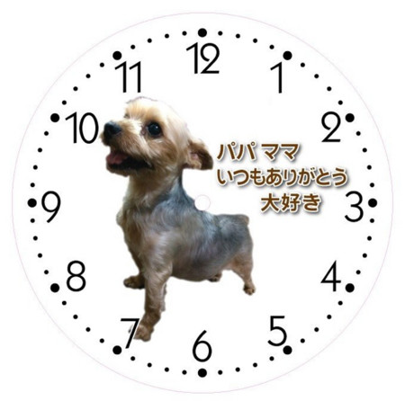 f:id:haberdashery:20150210194845j:image:w320