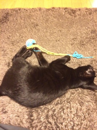 f:id:haberdashery:20150223094807j:image