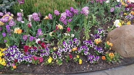 f:id:haberdashery:20150511155147j:image