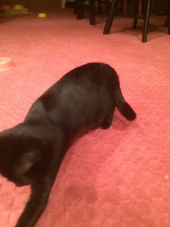 f:id:haberdashery:20150512112728j:image