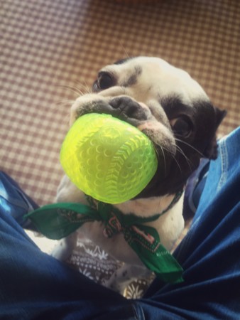 f:id:haberdashery:20151120140714j:image