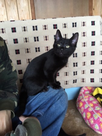 f:id:haberdashery:20161213221039j:image f:id:haberdashery:20161213221039j:image