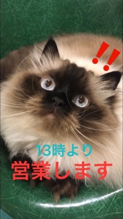 f:id:haberdashery:20180706112043j:image