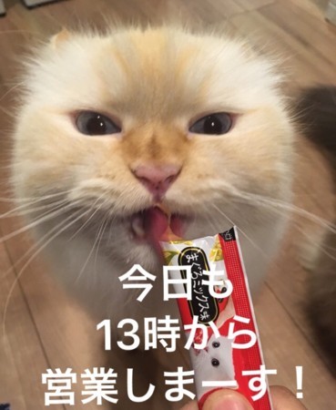 f:id:haberdashery:20180707120259j:image