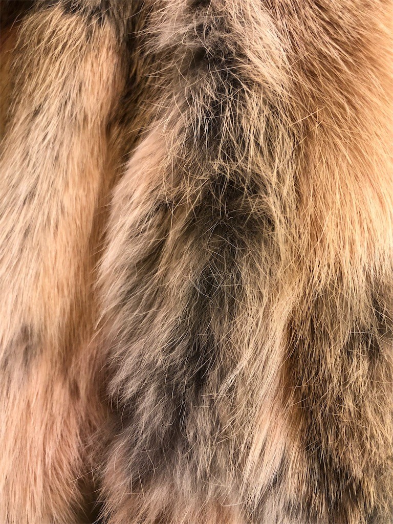 f:id:haberdashery:20191204162126j:image