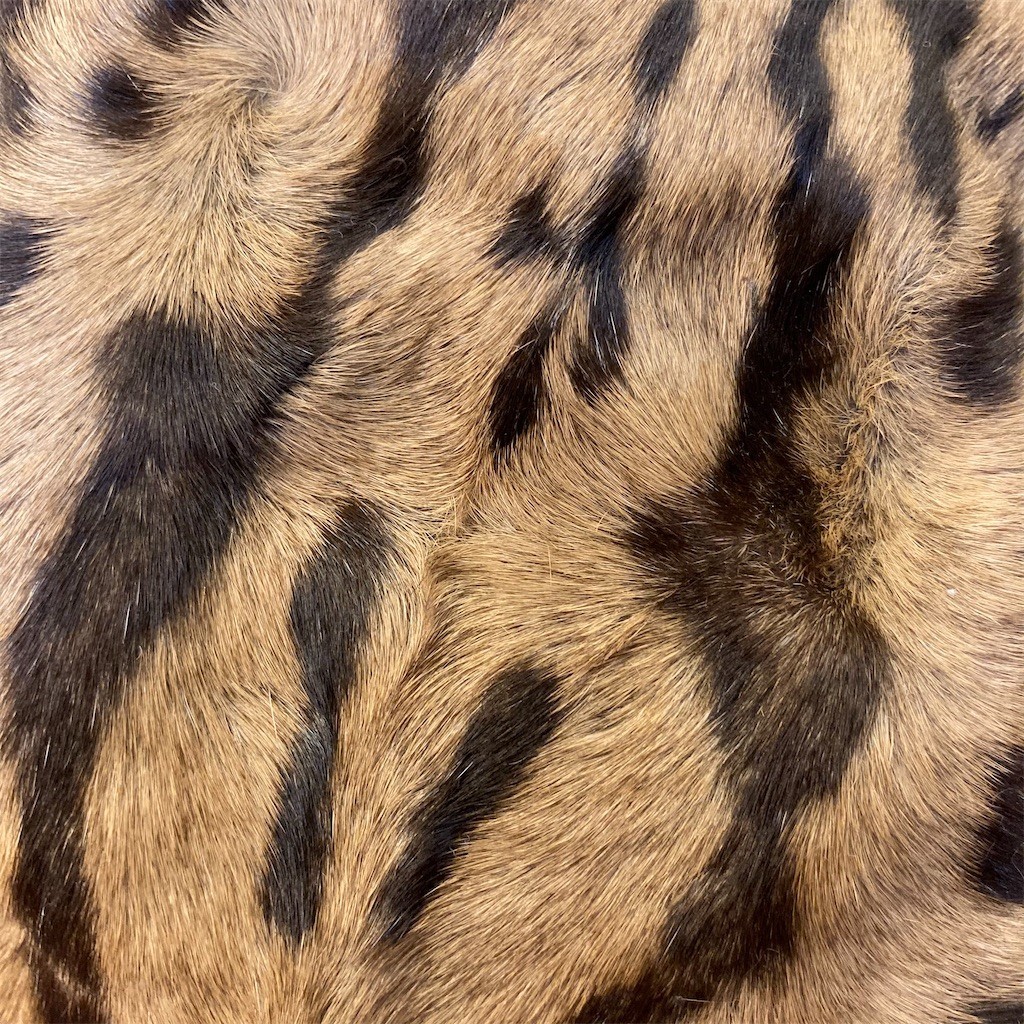 f:id:haberdashery:20201205133244j:image f:id:haberdashery:20201205133244j:image