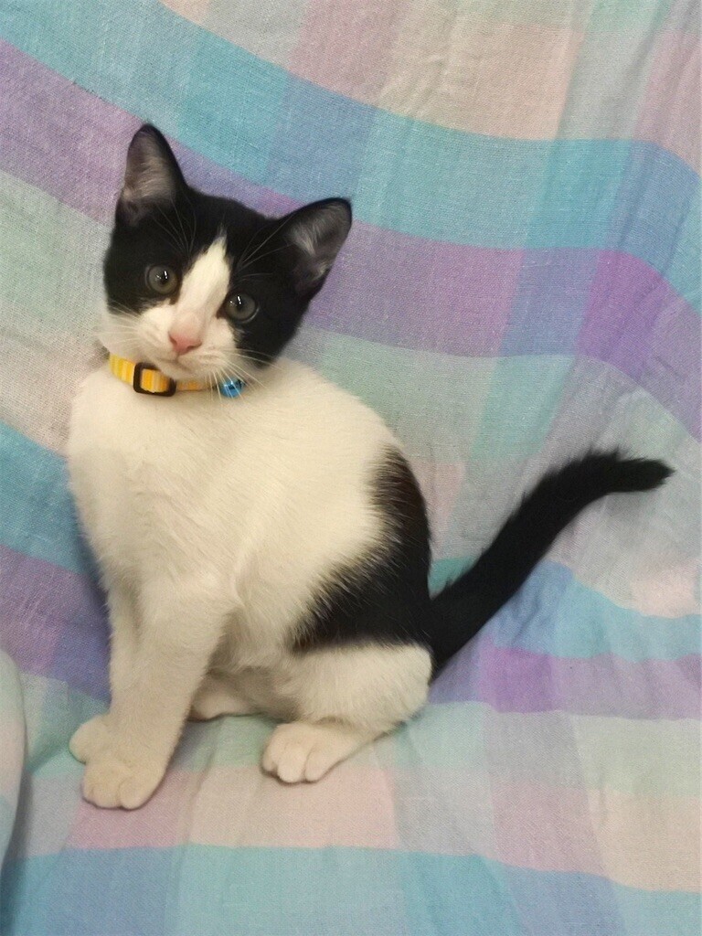 f:id:haberdashery:20230823173849j:image f:id:haberdashery:20230823173849j:image