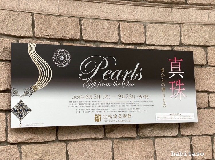 f:id:habitaso:20200924070915j:plain