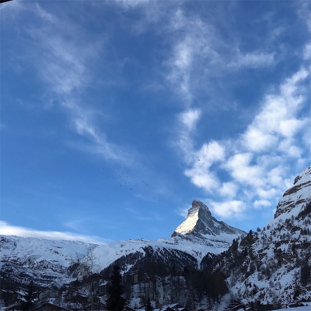 f:id:habutaemochiko:20190223165229j:image f:id:habutaemochiko:20190223165229j:image