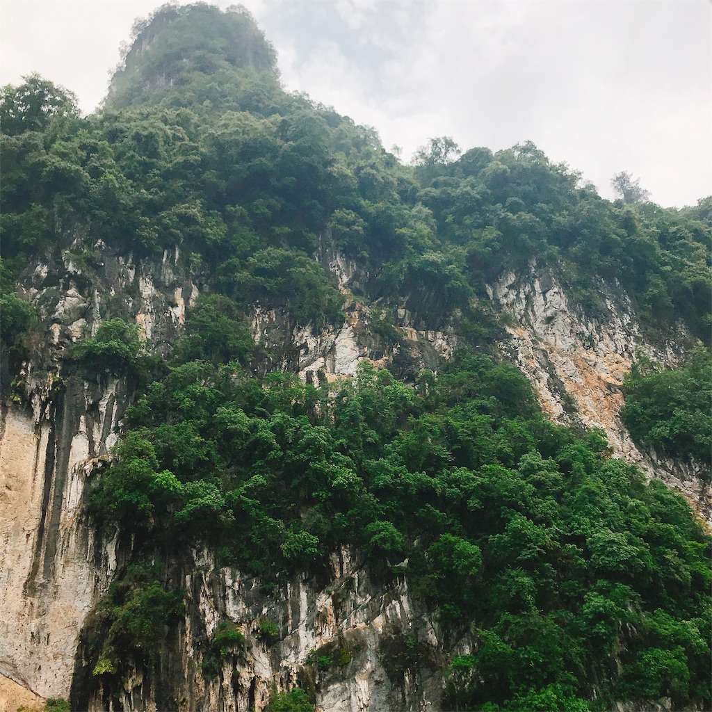 f:id:habutaemochiko:20190604171858j:image f:id:habutaemochiko:20190604171858j:image