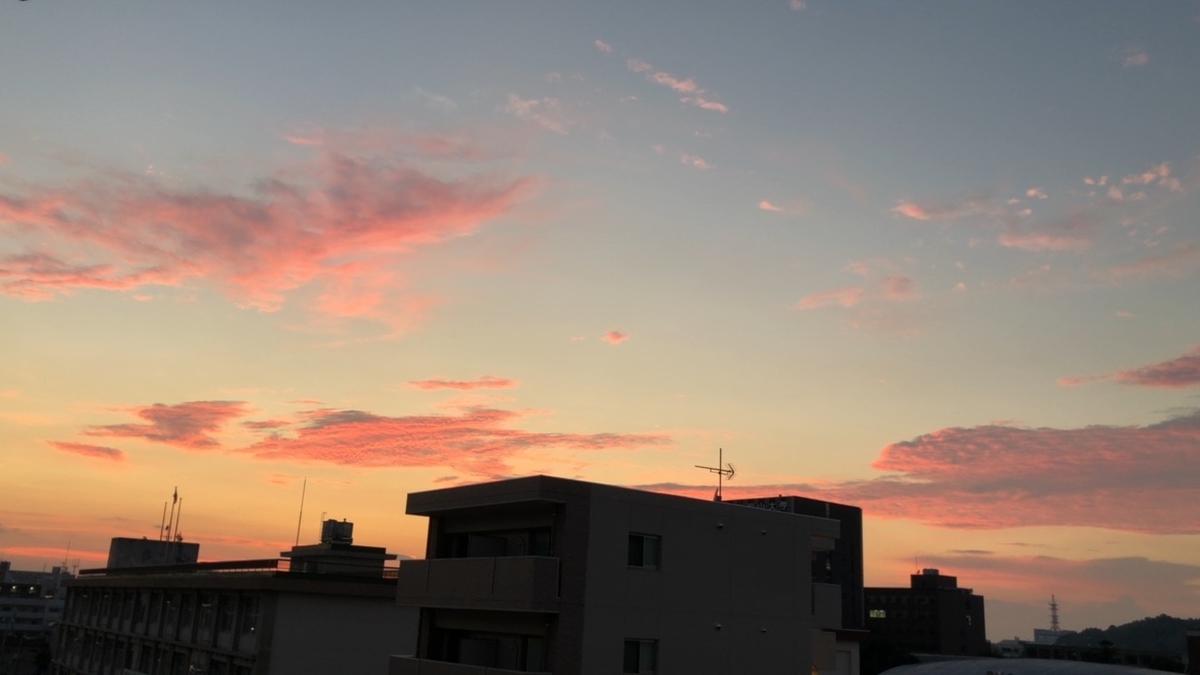 f:id:hacca_o11:20200120233115j:plain f:id:hacca_o11:20200120233115j:plain