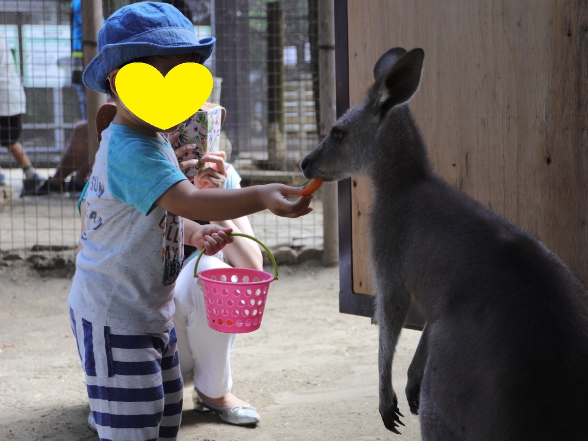 f:id:hacchi2020:20200821130634j:plain f:id:hacchi2020:20200821130634j:plain