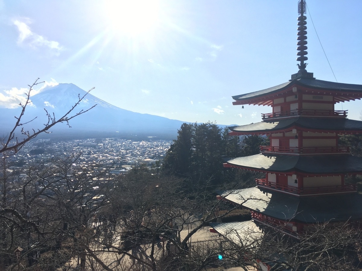 f:id:hacchi46:20210123224539j:plain