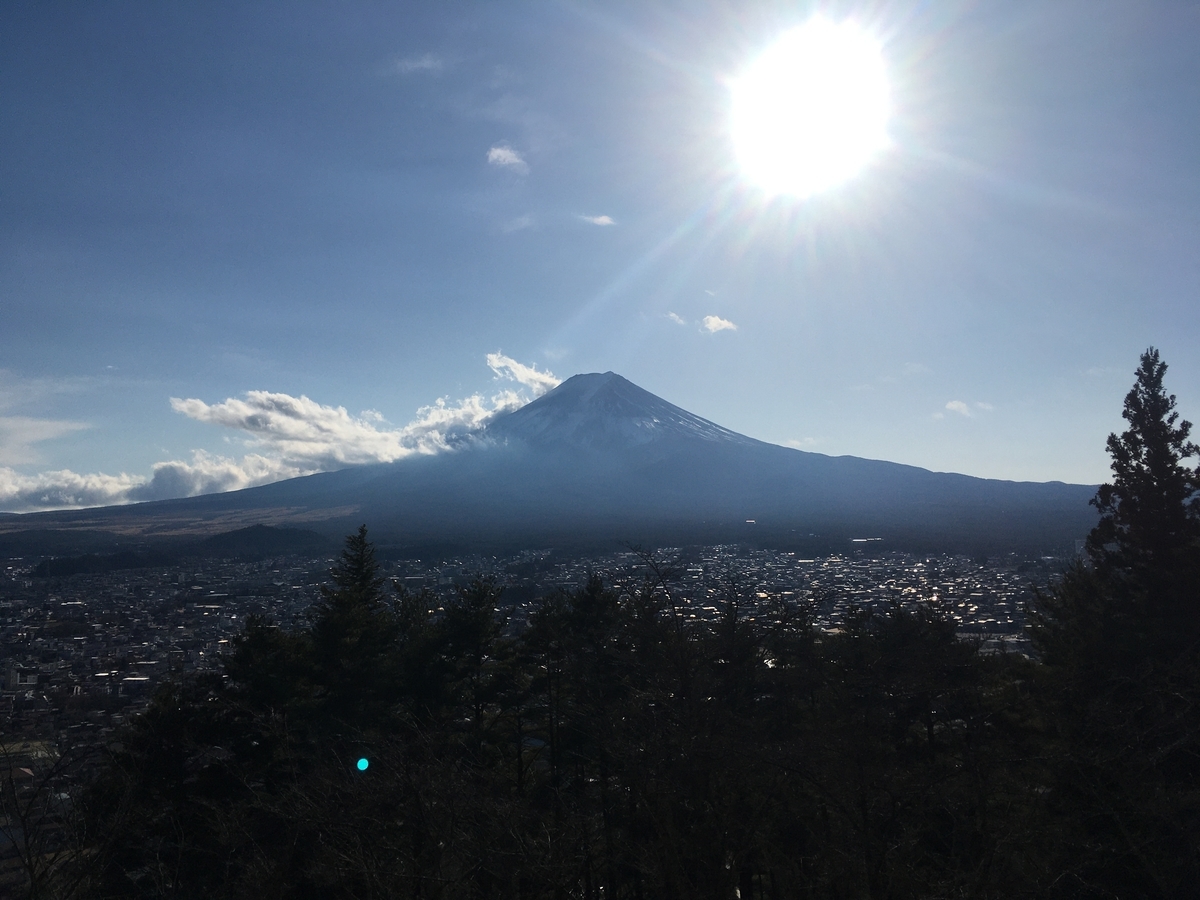 f:id:hacchi46:20210123224831j:plain