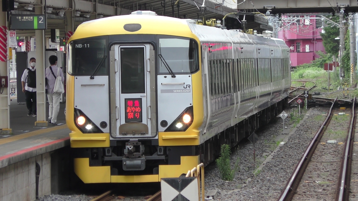観る機会が増えてきた総武快速線E235系1000番台と、特急あやめ祭り号