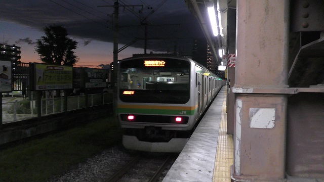 Bトレイン　湘南新宿ライングリーン車 Bトレイン 湘南新宿ライングリーン車
