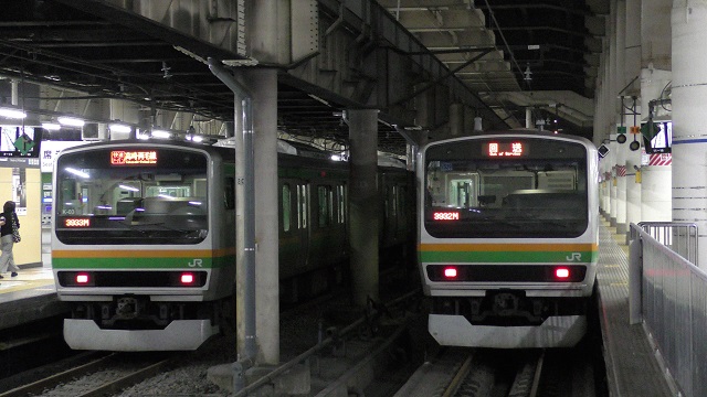 Bトレイン　湘南新宿ライングリーン車 Bトレインショーティー JR東日本 E231系・湘南新宿ライン
