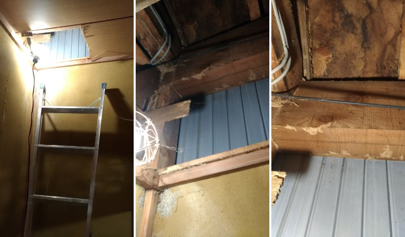 f:id:hacchi6:20201129192526j:plain