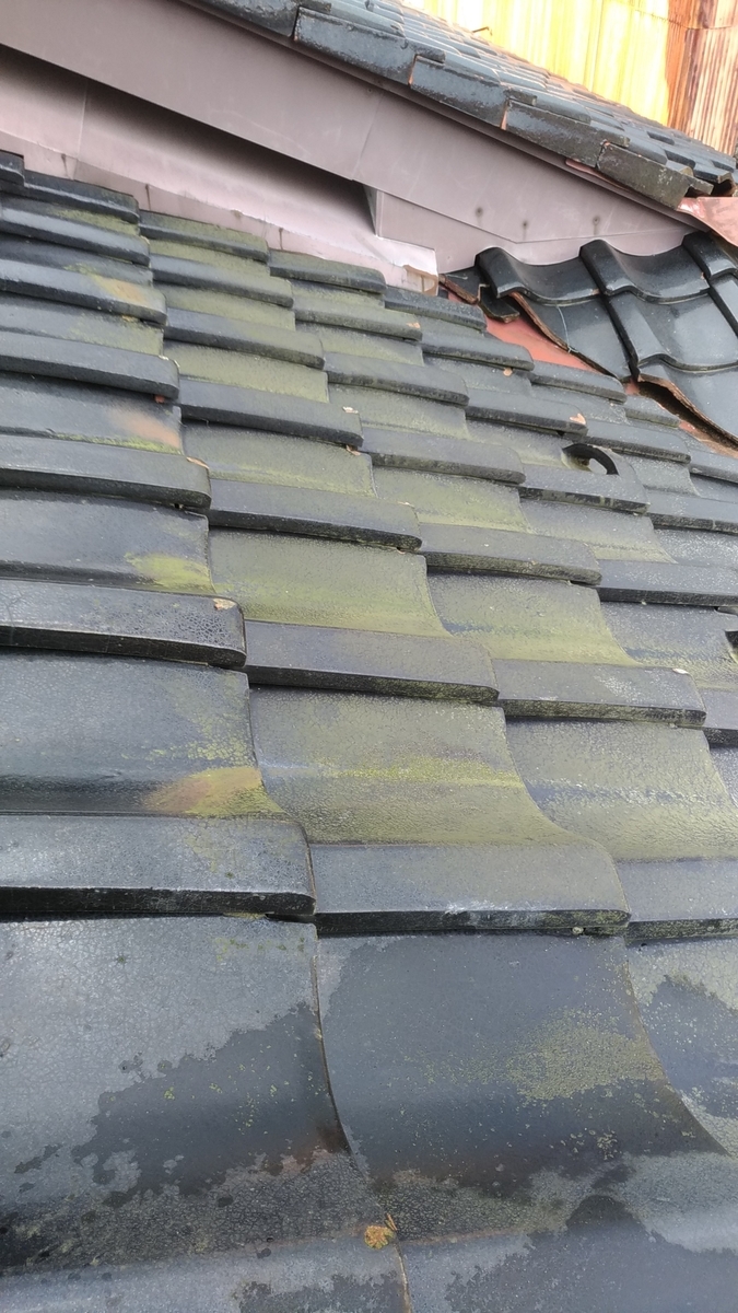 f:id:hacchi6:20201129192619j:plain