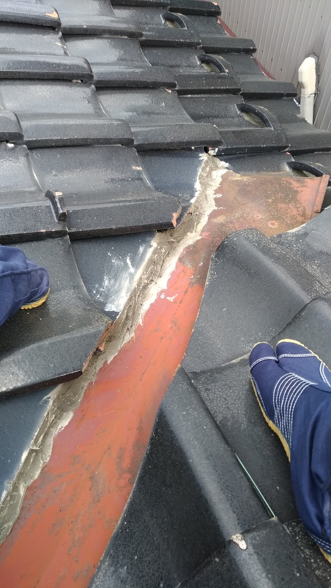 f:id:hacchi6:20201129192726j:plain