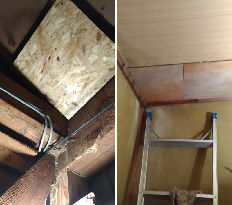 f:id:hacchi6:20201129193037j:plain