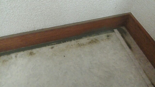 f:id:hachamama:20171024215817j:plain