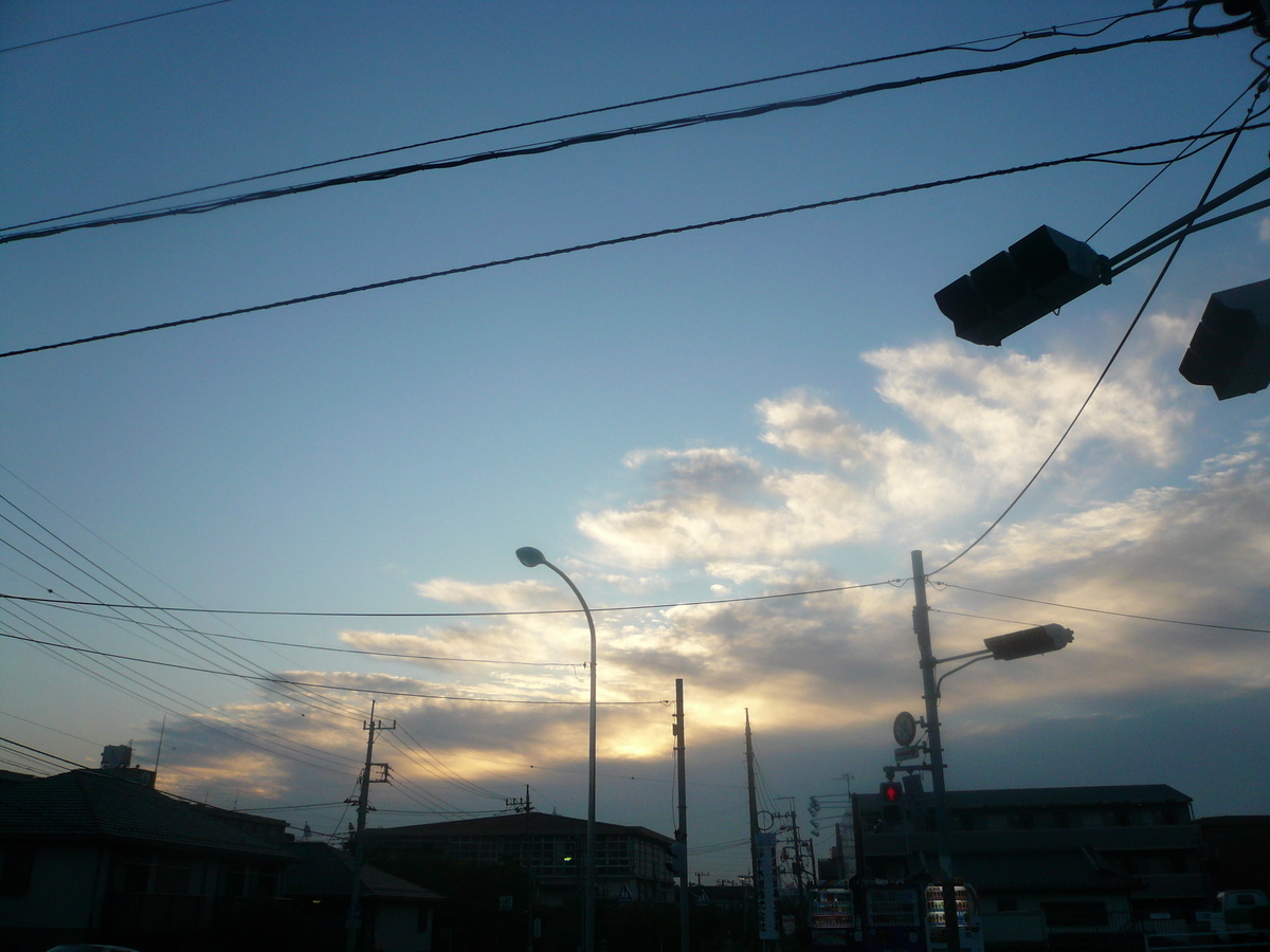 f:id:hachi-log:20081027061623j:plain