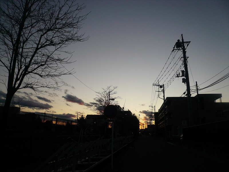 f:id:hachi-log:20090102163643j:plain