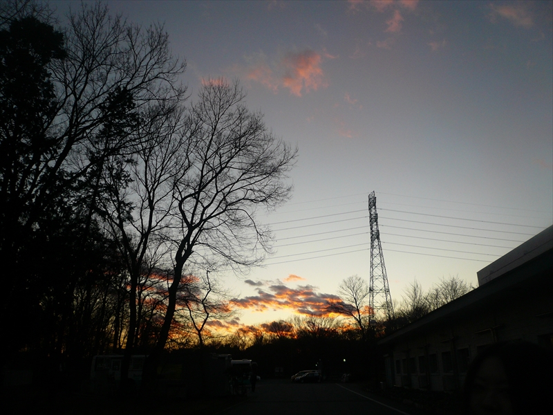 f:id:hachi-log:20090113164225j:plain