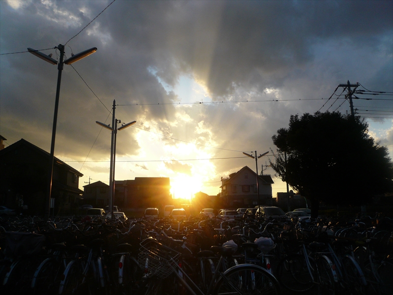f:id:hachi-log:20090119162048j:plain