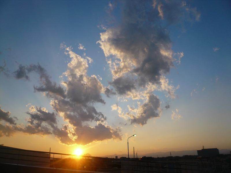 f:id:hachi-log:20090119163118j:plain