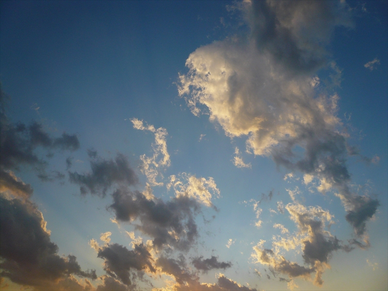 f:id:hachi-log:20090119163219j:plain