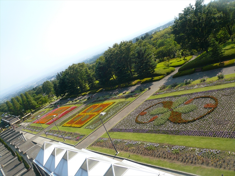 f:id:hachi-log:20090607150752j:plain