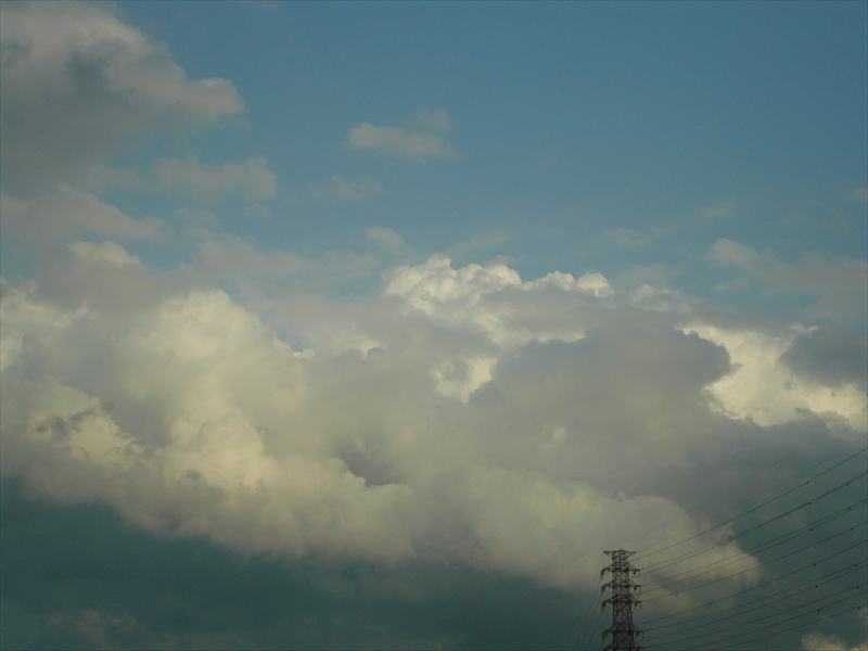 f:id:hachi-log:20090607174214j:plain