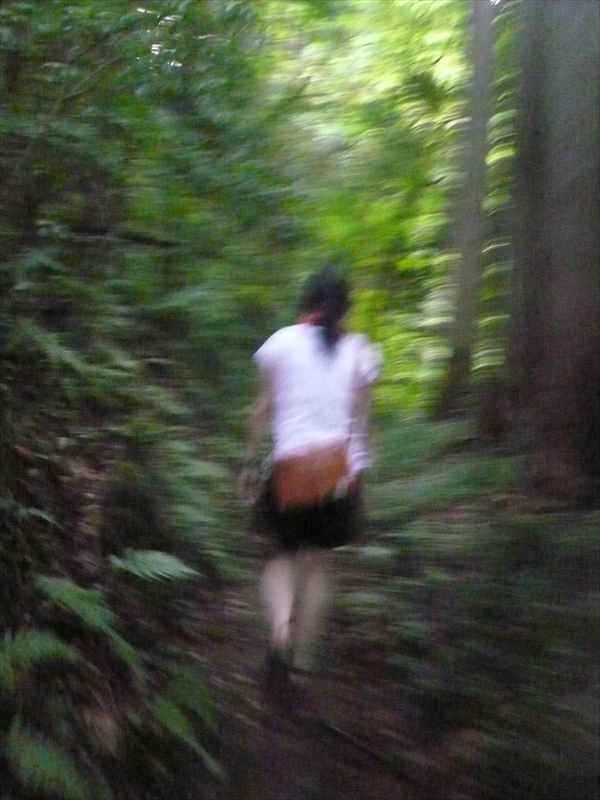 f:id:hachi-log:20090619182337j:plain