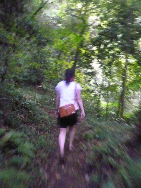 f:id:hachi-log:20090619182342j:plain