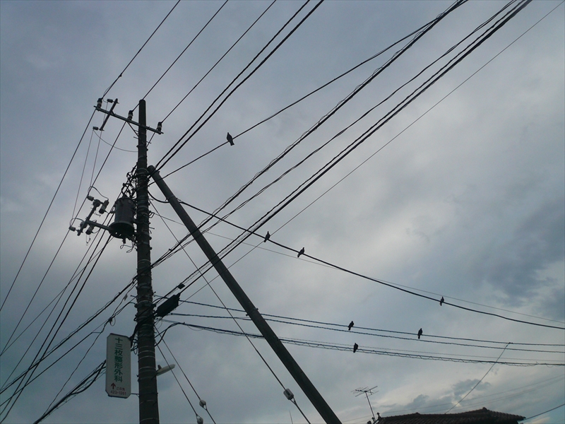 f:id:hachi-log:20090719170125j:plain