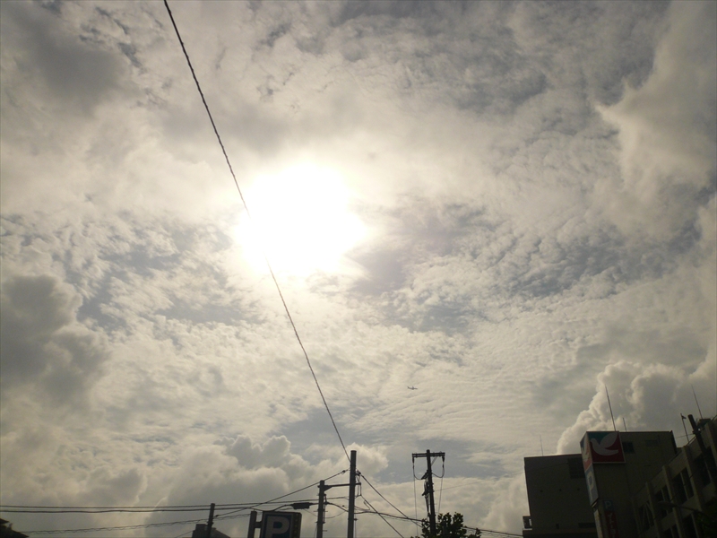 f:id:hachi-log:20090724152103j:plain