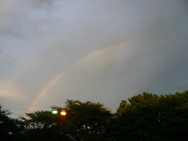 f:id:hachi-log:20090727181618j:plain
