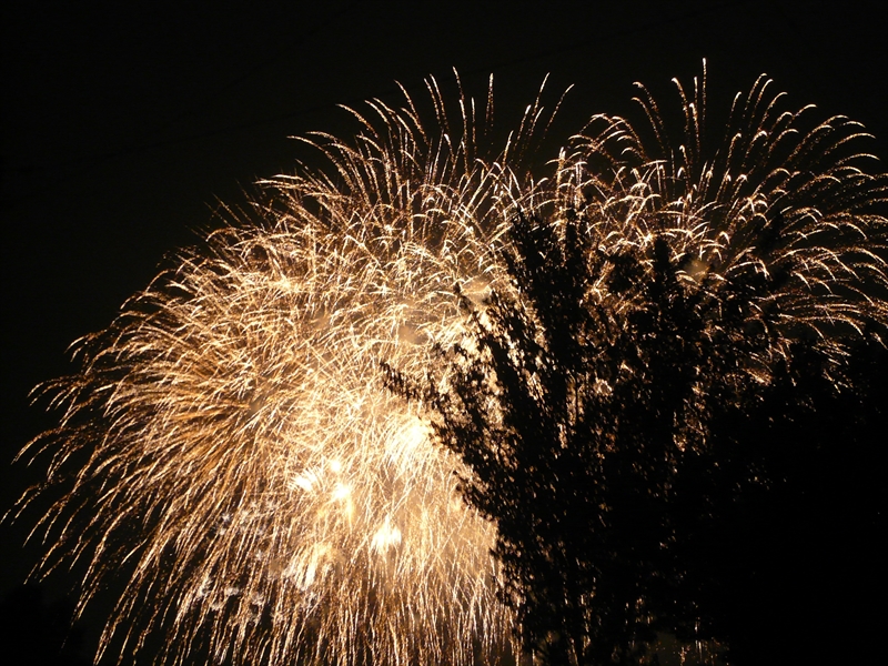 f:id:hachi-log:20090801204422j:plain