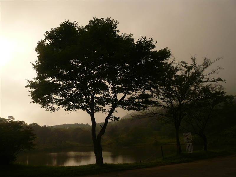 f:id:hachi-log:20090818162737j:plain