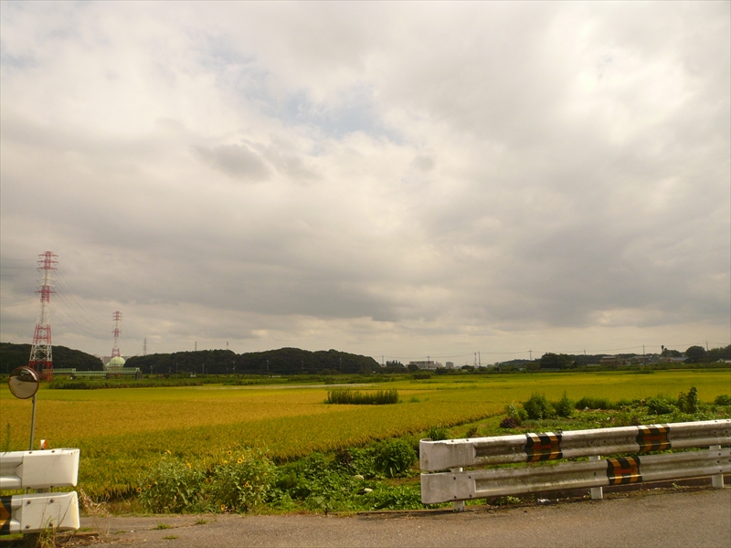 f:id:hachi-log:20090827135540j:plain