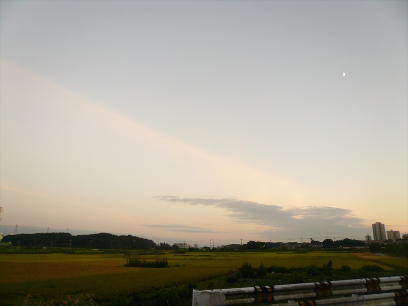 f:id:hachi-log:20090827180432j:plain