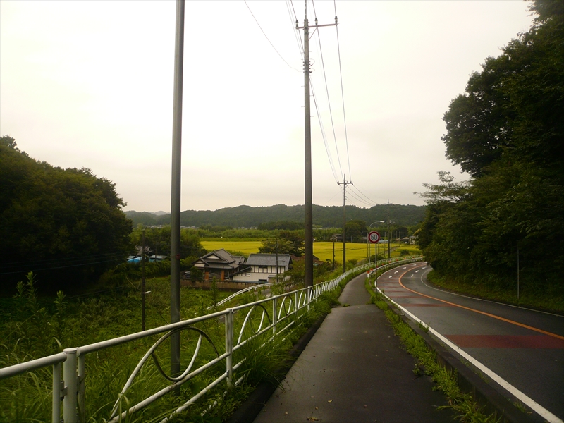 f:id:hachi-log:20090901055015j:plain