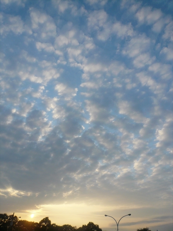 f:id:hachi-log:20090901172125j:plain