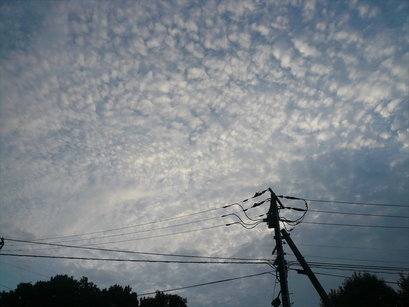 f:id:hachi-log:20090904053854j:plain