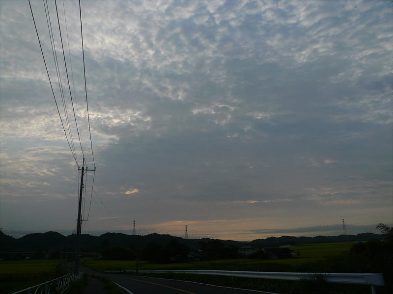 f:id:hachi-log:20090904054758j:plain