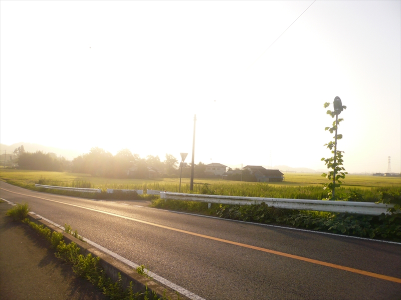 f:id:hachi-log:20090905055653j:plain