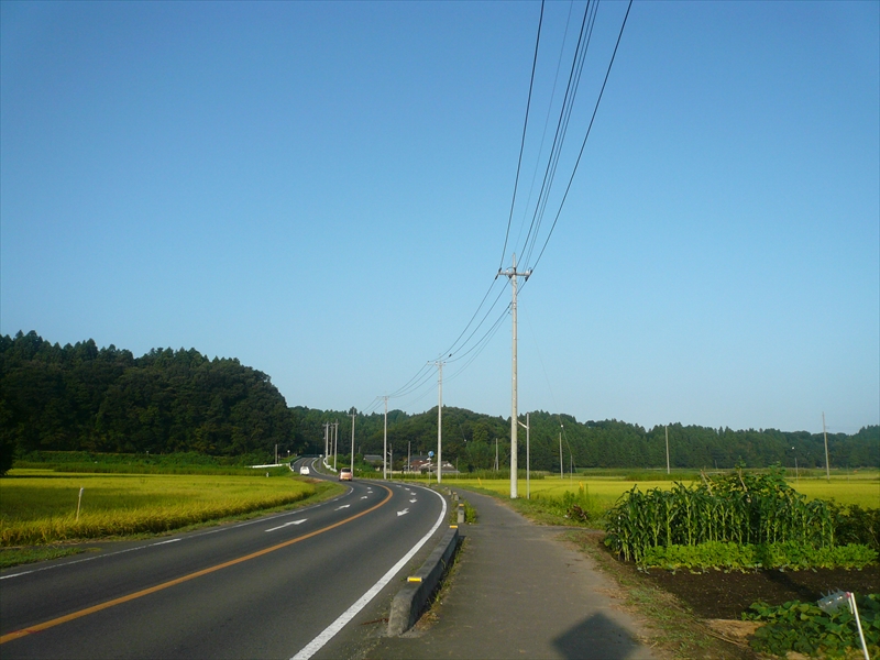 f:id:hachi-log:20090905062114j:plain