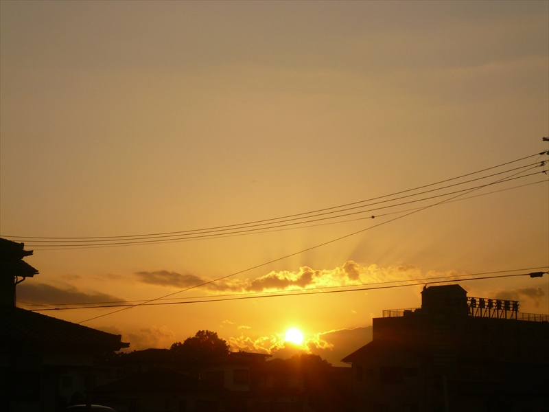 f:id:hachi-log:20090906173151j:plain